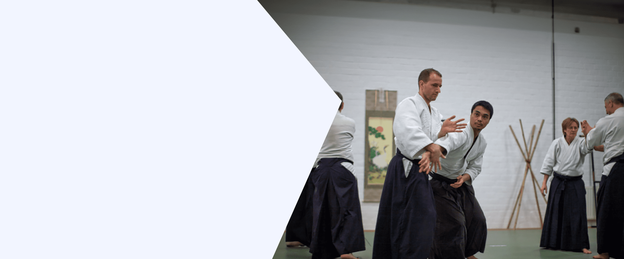 Aikido training